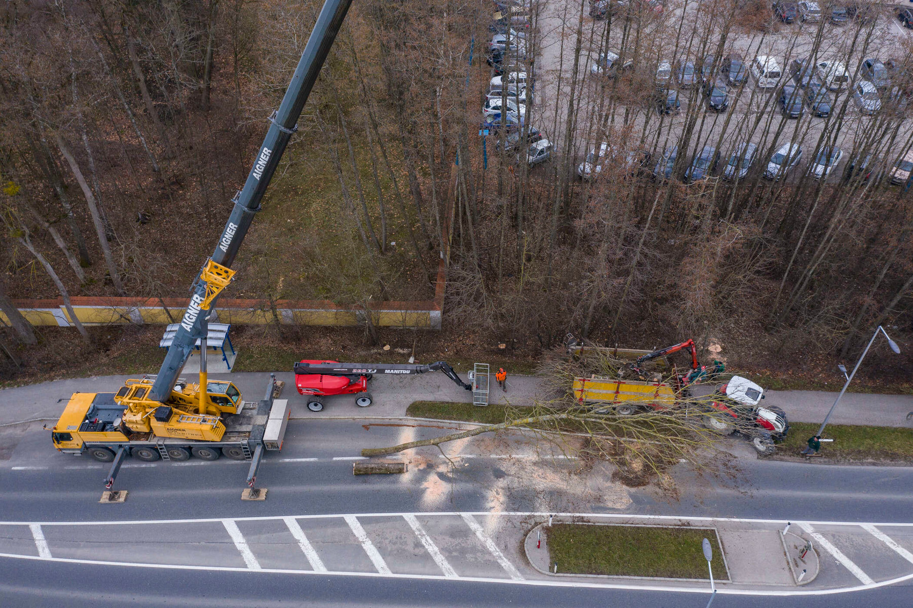 Spezialfällung von Kammerhuber Holzschlägerung von oben